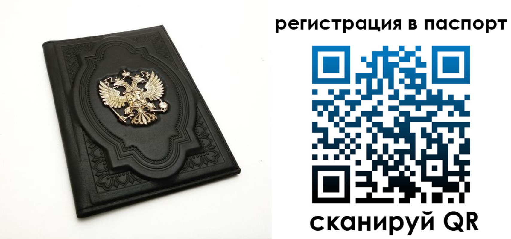 пропишу в квартире в Калининграде